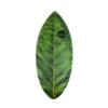HW-Shapes Waveskim Foamy Skimboard Skimleaf -Meer Gleiter hw shapes waveskim foamy skimboard skimleaf